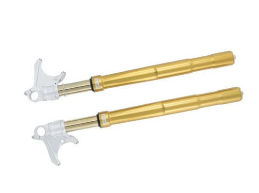 OHLINS BMW S1000RR / M1000RR Front Fork