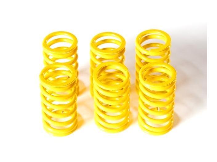 6M01 - DUCABIKE Ducati Dry Clutch Springs