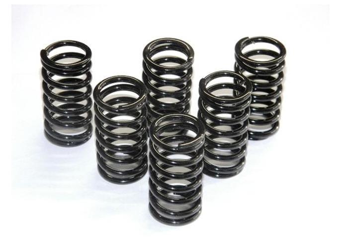 6M01 - DUCABIKE Ducati Dry Clutch Springs