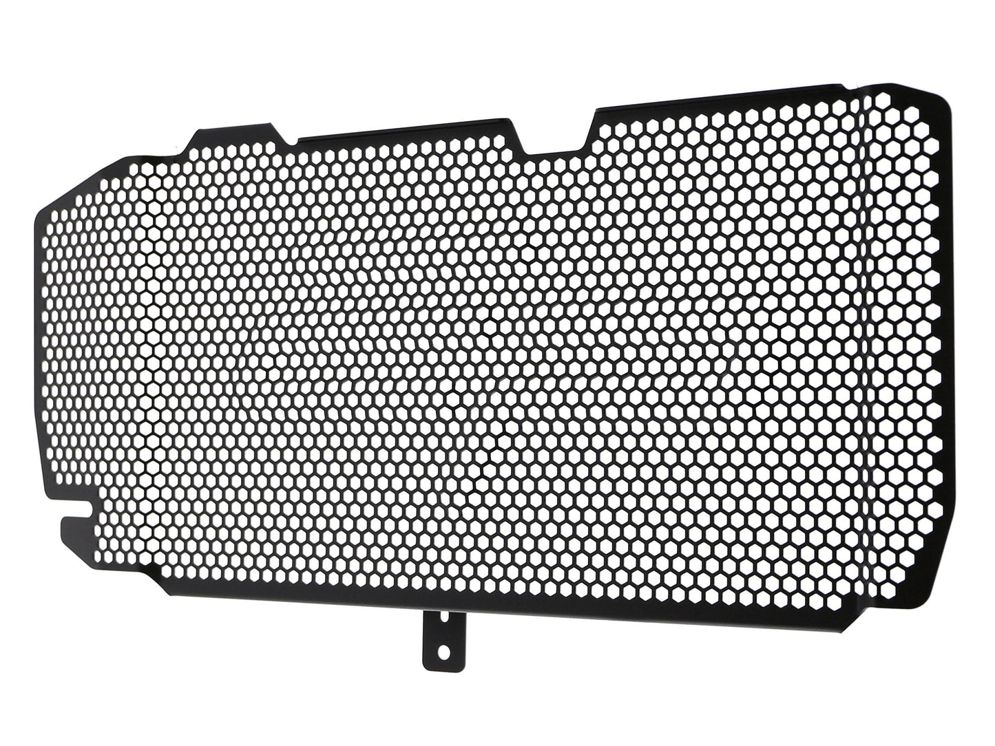 EVOTECH BMW F800R Radiator Guard