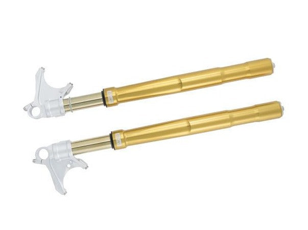 OHLINS Kawasaki Ninja H2 Front Fork