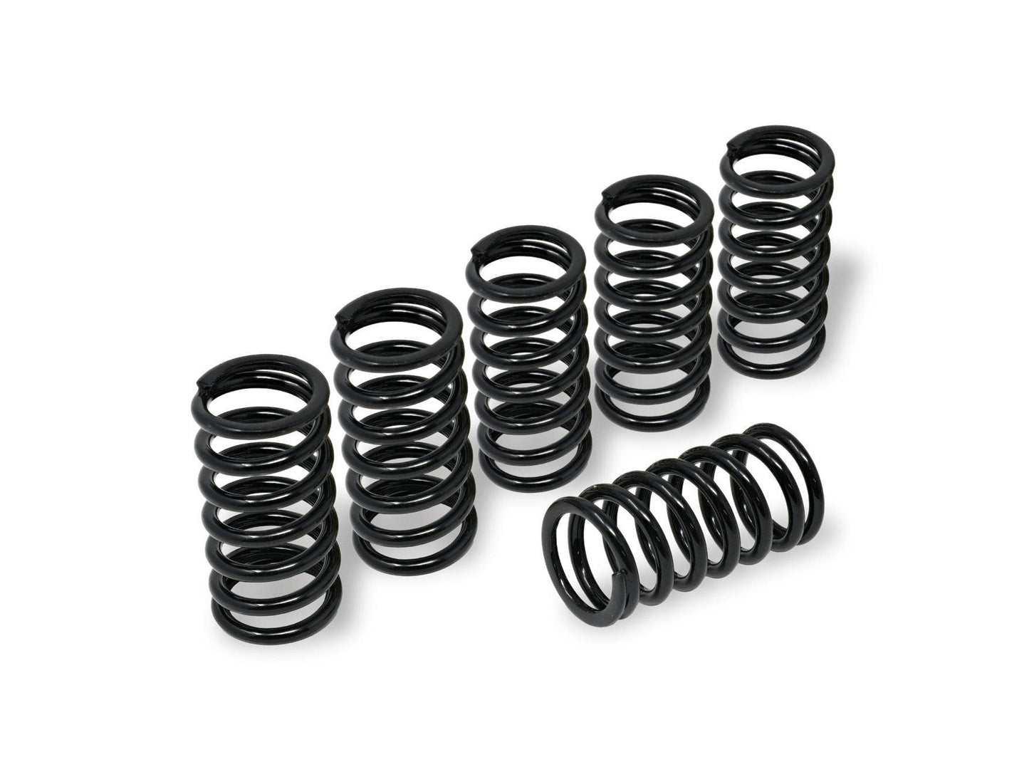 MO245 - CNC RACING MV Agusta Clutch Springs (Ø 40.5)