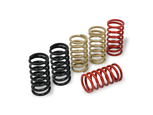 MO245 - CNC RACING MV Agusta Clutch Springs (Ø 40.5)