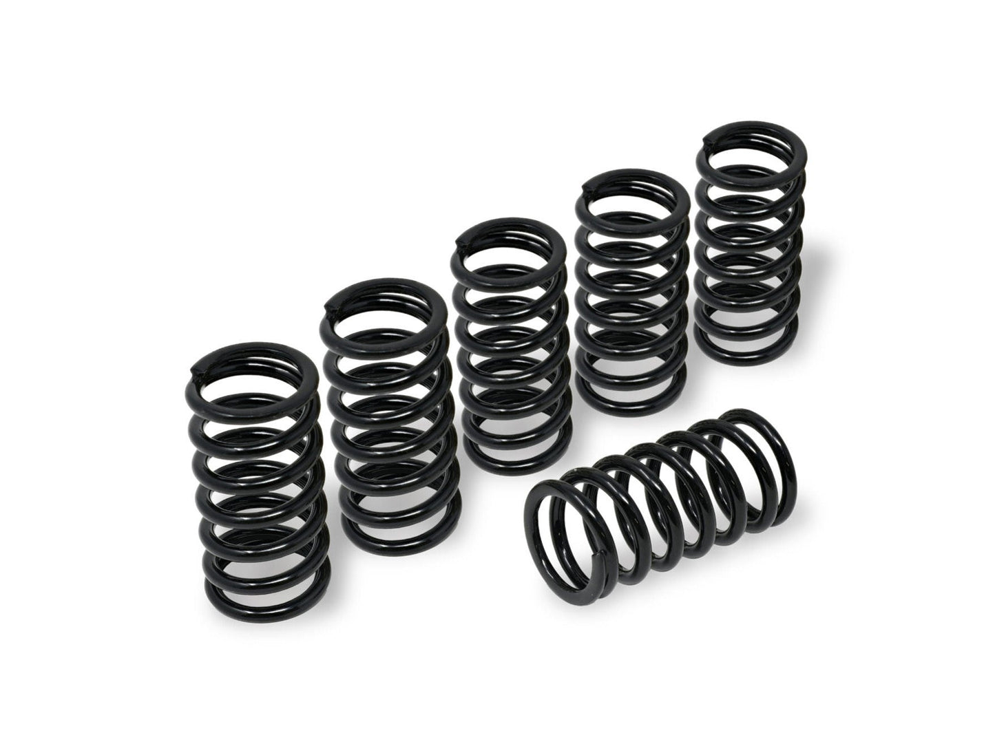 MO345 - CNC RACING BMW S1000RR (09/18) Clutch Springs (Ø 45)