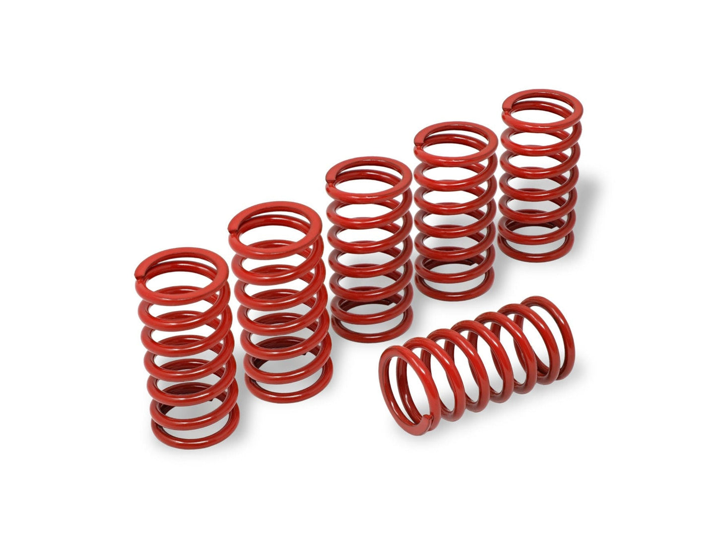 MO345 - CNC RACING BMW S1000RR (09/18) Clutch Springs (Ø 45)