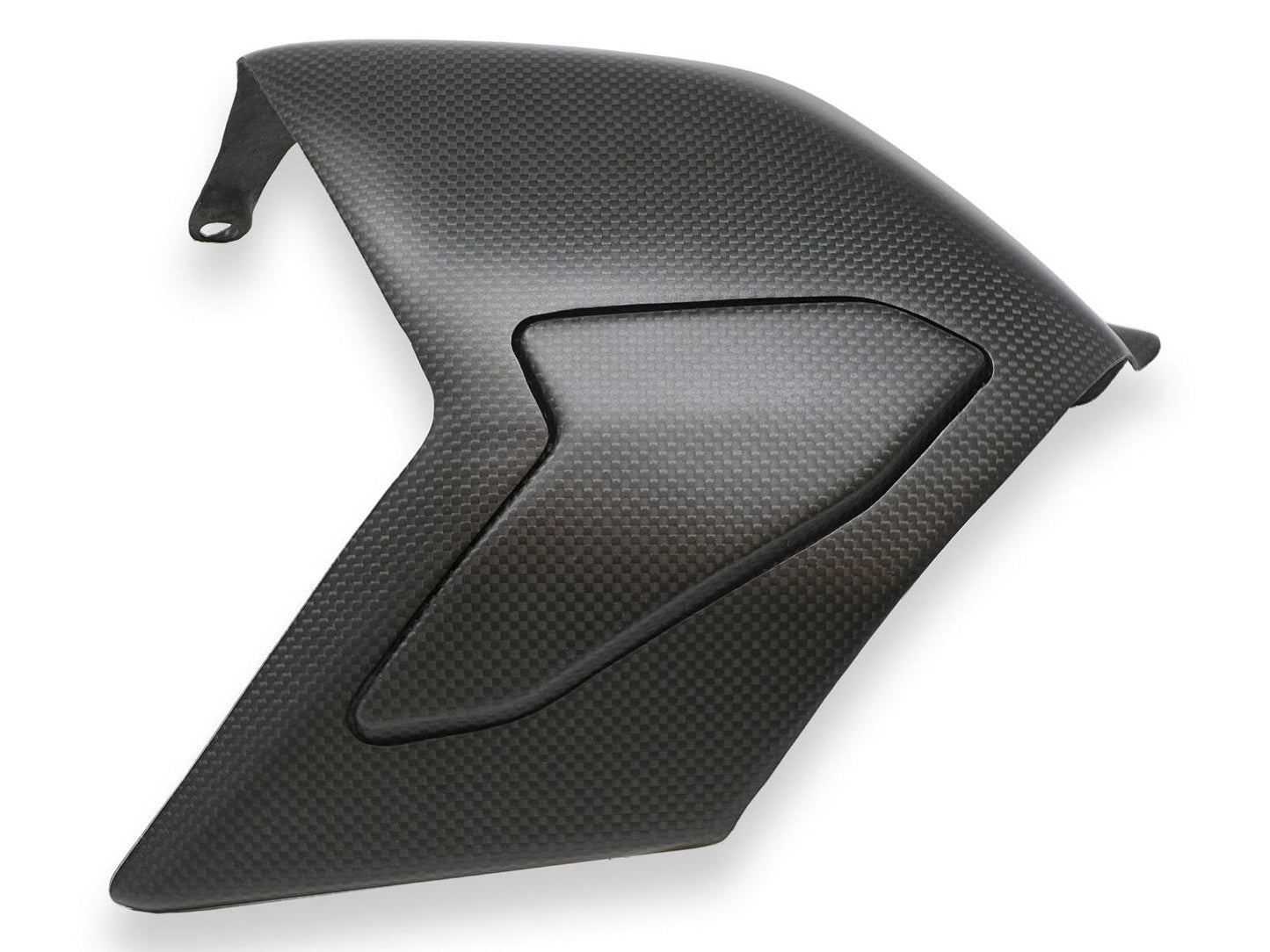 ZA864 - CNC RACING Ducati Panigale V4 Carbon Swingarm Cover