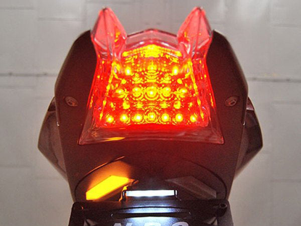 NEW RAGE CYCLES BMW S1000R LED Fender Eliminator Kit