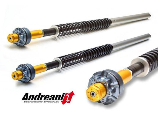 CFD105/D05 - ANDREANI Ducati Monster 696 Adjustable Hydraulic Fork Cartridge kit (for Marzocchi fork) – Accessories in the 2WheelsHero Motorcycle Aftermarket Accessories and Parts Online Shop