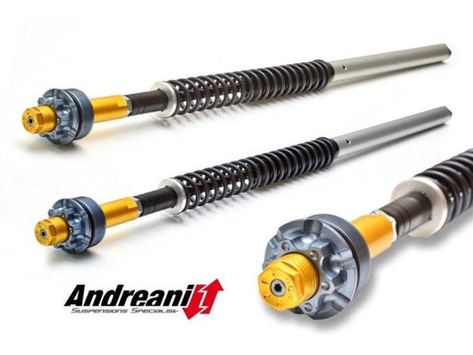 CFD105/D13 - ANDREANI Ducati Monster 821 Adjustable Hydraulic Fork Cartridge kit – Accessories in the 2WheelsHero Motorcycle Aftermarket Accessories and Parts Online Shop