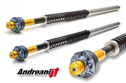 ANDREANI CFD305/D16E Ducati Scrambler 800 (15/19) Adjustable Hydraulic Fork Cartridge kit – Accessories in the 2WheelsHero Motorcycle Aftermarket Accessories and Parts Online Shop