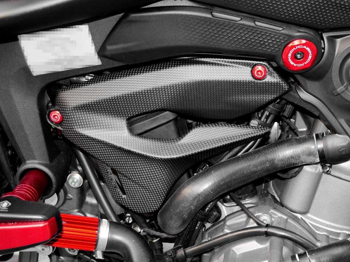 CRB03O - DUCABIKE Ducati Monster 950 (2021+) Carbon Fairing Side Covers