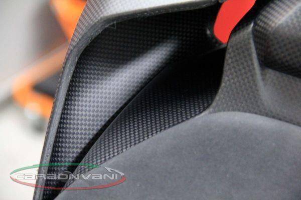 CARBONVANI Ducati Panigale 1299 Carbon Tail (5 pcs kit)