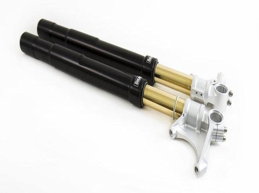 FGRT227 - OHLINS BMW R nineT 1170 (2017 – ) Front Fork