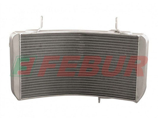 FEBUR Ducati Superbike 916R/996R (94/02) Complete Racing Water Radiator