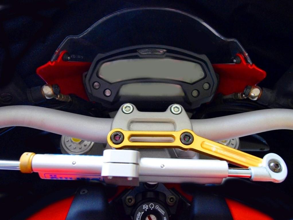 Ducati Monster 796/1100 Evo OHLINS Steering Damper + DUCABIKE Mounting Kit